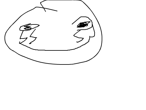 I DID IT POND