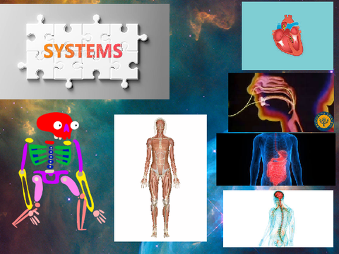Systems !!! remix