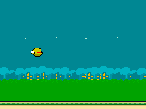 Derpy Bird