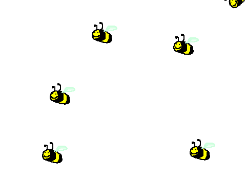 Bees