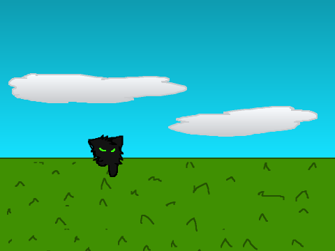 Hollyleaf (LIKE 3 YEARS OLD EW)