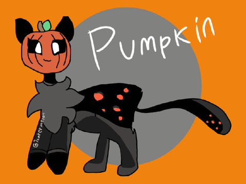 DTAE- Pumpkin 