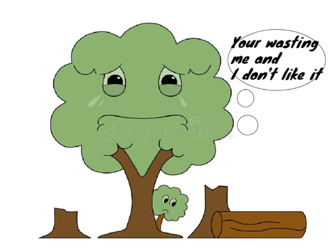 Life Cycle of paper
