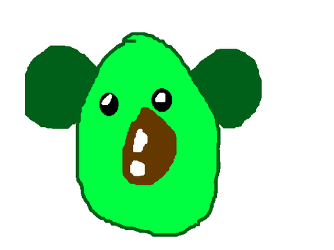 avokoala