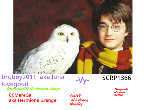 Remix and Sign if you LOVE Harry Potter !!! remix