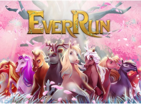 EverRun AUDITION