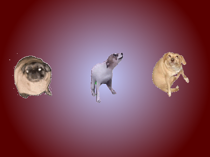 forever dogs loop