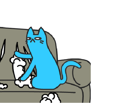 scratch scratch