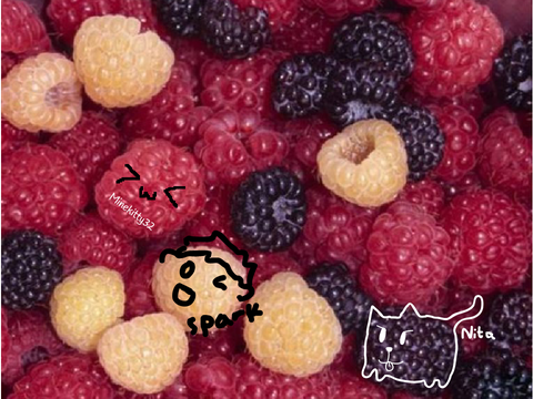 Add yourself as a raspberry... remix remix