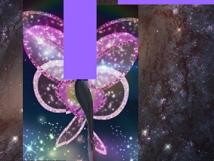 MLB flapflap flutterflutter 