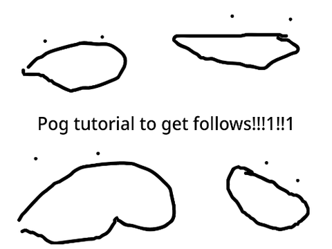 How to Get Followed by Famos Scratcherer