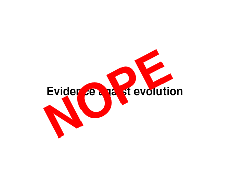 Response: Evidence Against Evolution