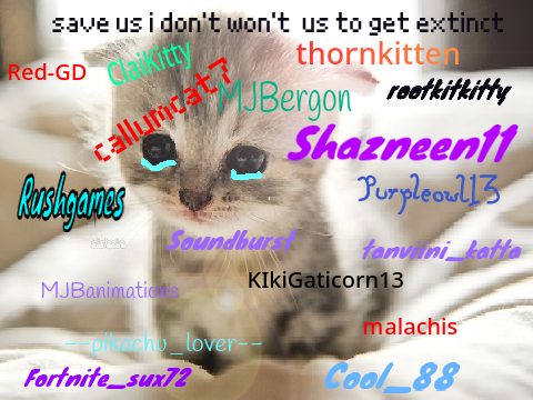 Sign if you hate animal cruelty (remix remix remix remix remix remix