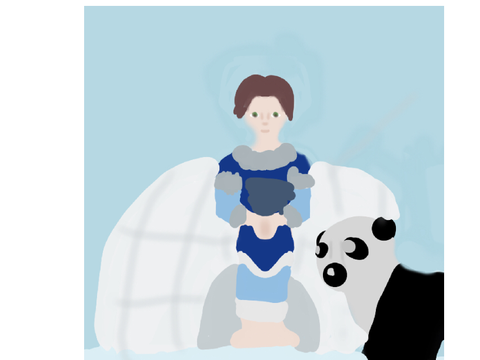 For PandaZebra16