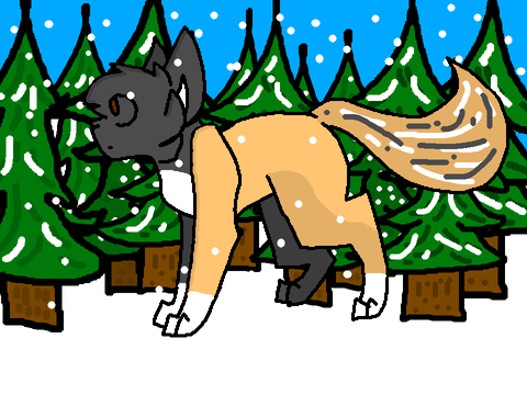 ★ Lavenderpaw ★ Gold CCE ★