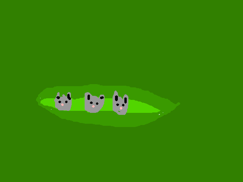 huskies in a pod