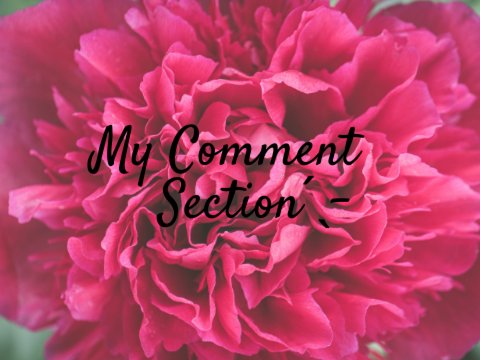 My Comment Section ˊˎ-