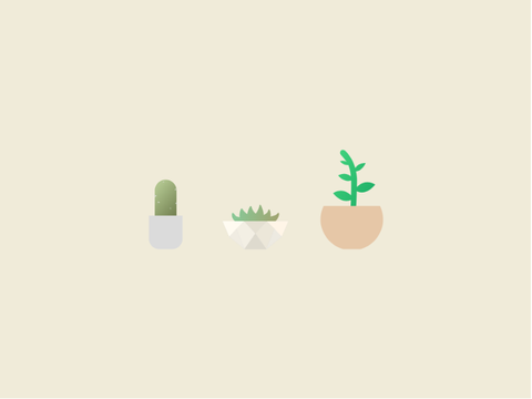 plants