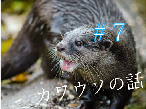 カワウソの話　＃7カナダカワウソの生態