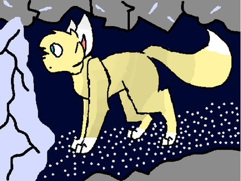 ★Gold CCE★ Frostgaze