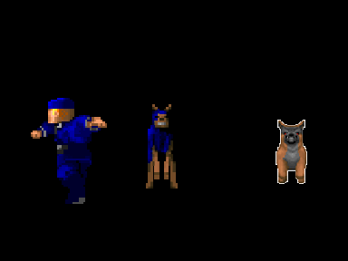 dog models and human