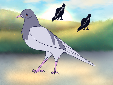 Pigeon Breeding Game