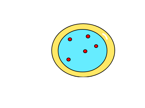 A sugar cookie for you
