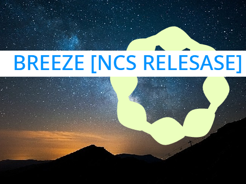 Dynamic Visualizer Breeze - [NCS Release]||#music #all