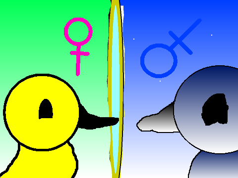 The Genderswap Mirror remix