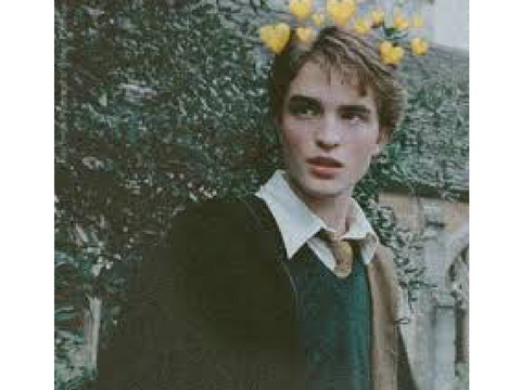 Harry Potter edites