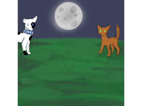 Backgrounds for @Ava90