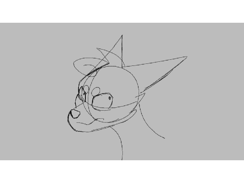 Cat Head Turn