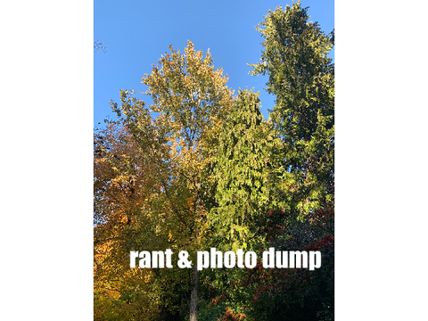 ☁️ rant & photo dump