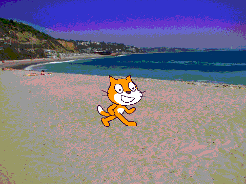 beach