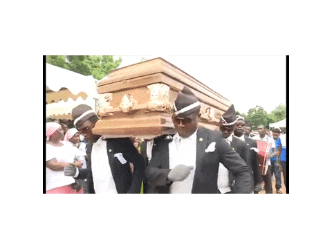 Cat ded coffin dance