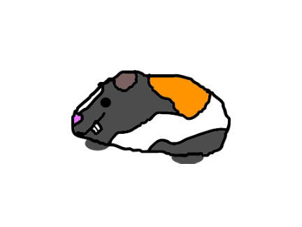 Cappy 