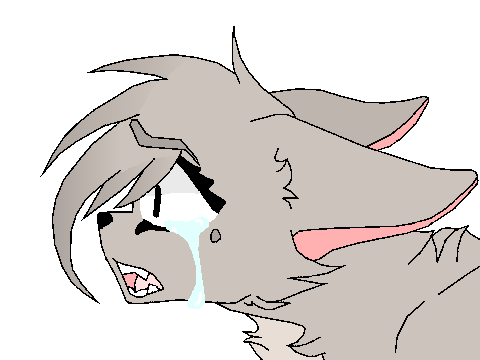  *CC* ✘ Emotional ✘ entry