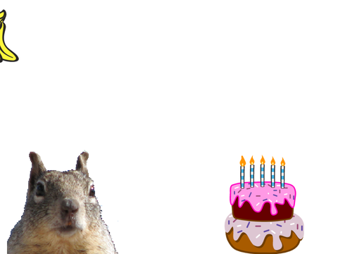 squirrel wants cake