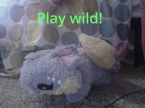 play wild!