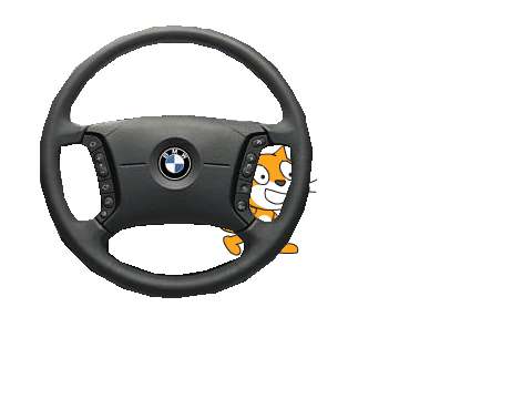 car!