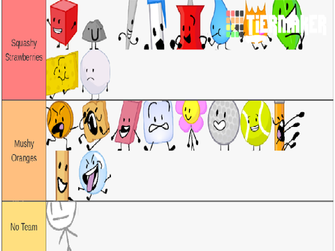 BFDI Camp Teams