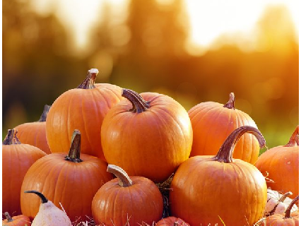 Pumpkin