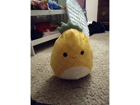 Plushie I got from my frem