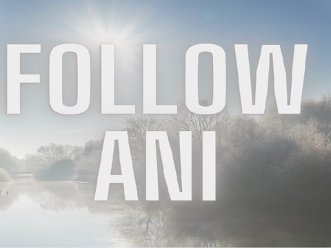 FOLLOW ANI FOLLOW ANI FOLLOW ANI FOLLOW ANI FOLLOW ANI 