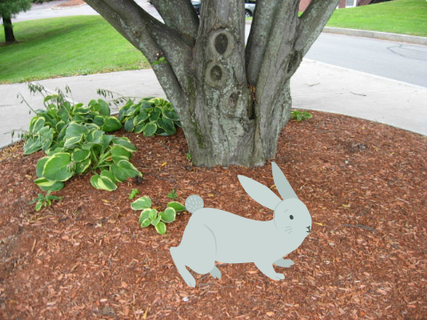 tap the rabbit