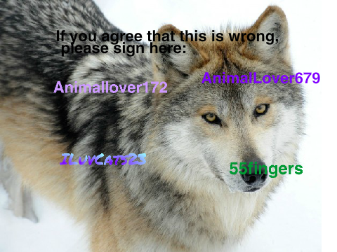 Sign To Stop Wolf Hunting: remix remix remix!!!! :) remix remix remix