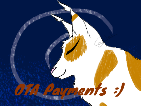 Some OTA Payments :3