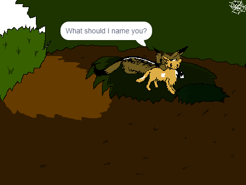 Warrior Cats Version 2.0