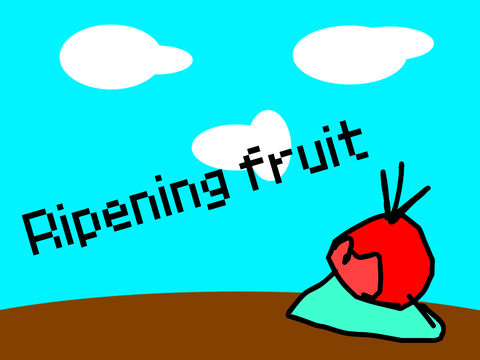 Ripening fruit: The start of Tune Isle decorations