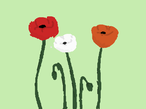 Remembrance day